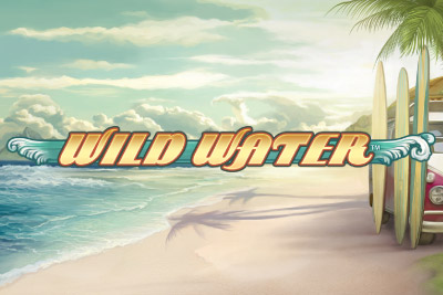 wild water logo